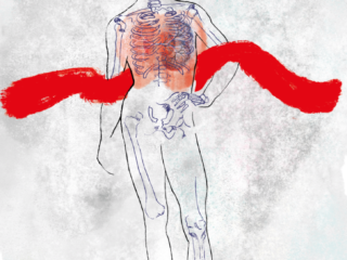 Science Book Cover Printed Karin Huizer doctor Nederland Dutch Engels English illustrator illustration illustratie blood medical skeleton lung heart fractal watercolor