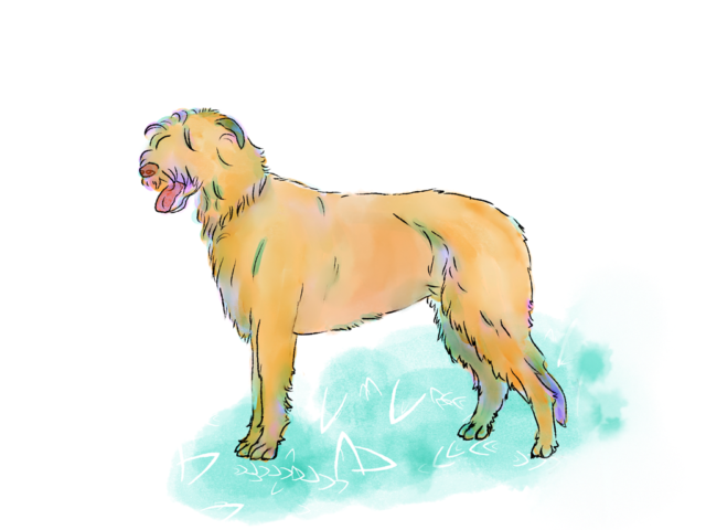 irish wolf hound hond honden dog green fashion colorful watercolor kinder kinderboek kinderboeken tekenaar illustratie engels nederland